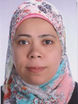 Soliman, Doaa, Dr.-Ing.